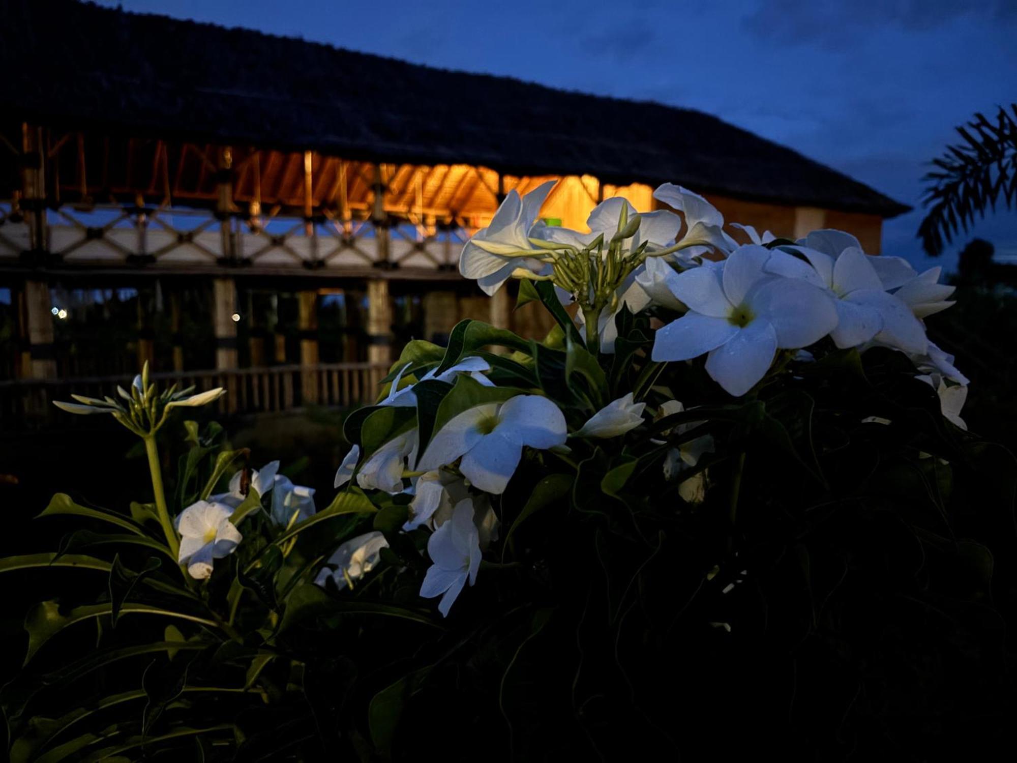 Mowgli'S Cafe Hampi & Guest House Zewnętrze zdjęcie